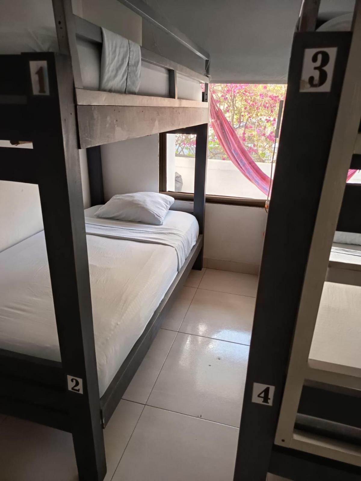 Bed 4-Bed Dormitory Room