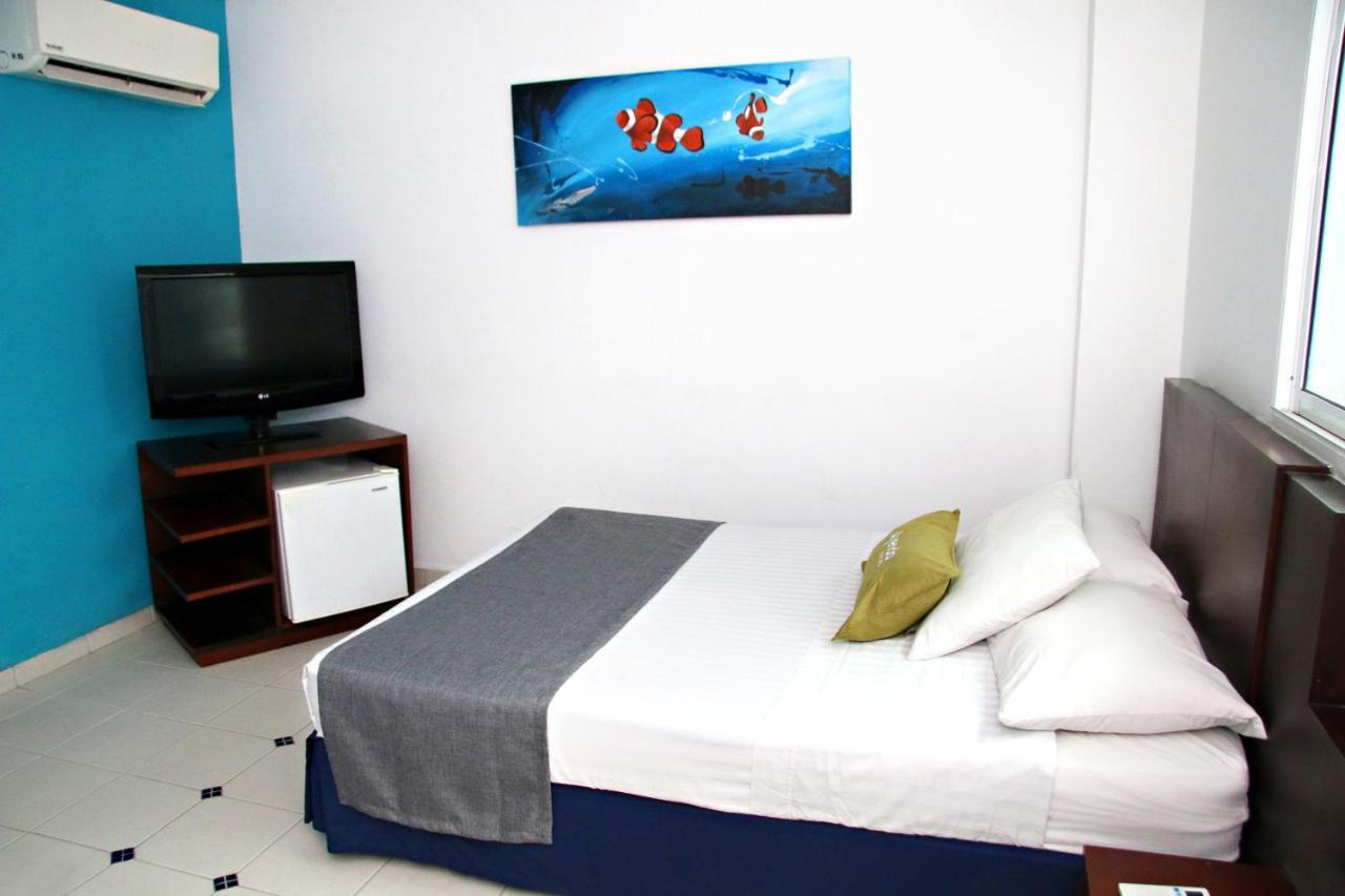Standard Quadruple Room,943296118:JPEG