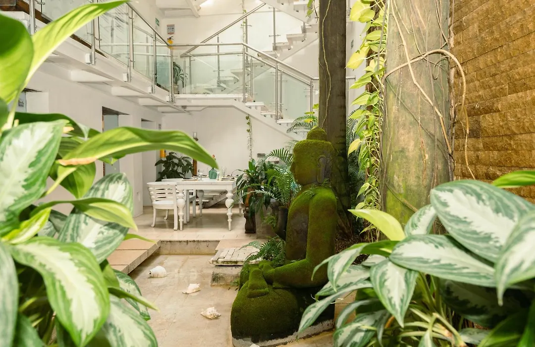 Hotel Aguamarina Boutique (Adults Only)-1