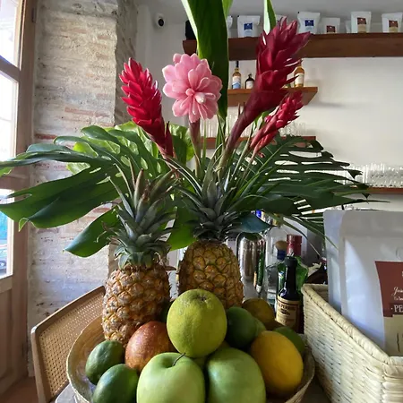 Casa Jaguar Hotel Boutique-2