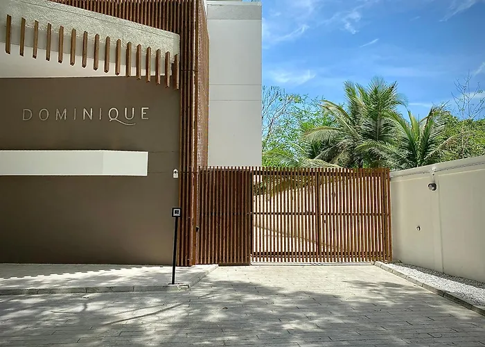 Stay Q Dominique Cartagena