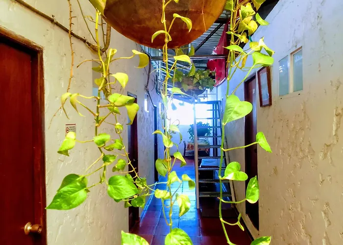 Rooftop Hostal Crisanto Luque Cartagena