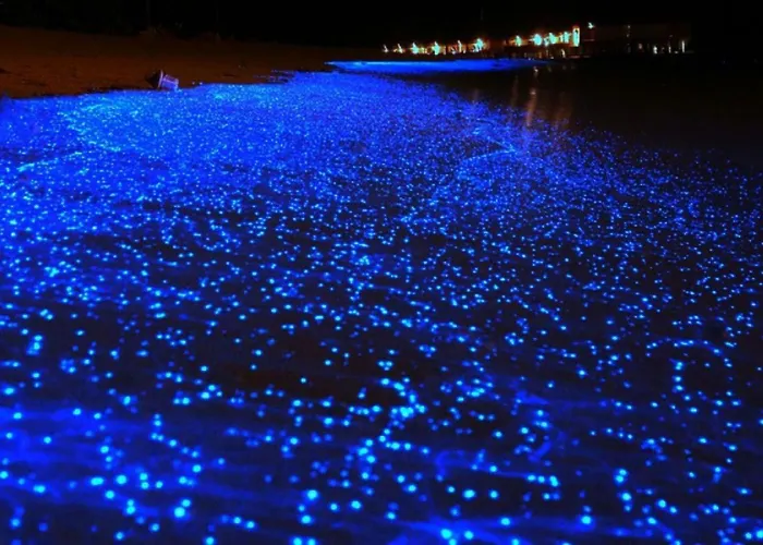 Hoteles en CartagenaCasa - Posada El Alcatraz