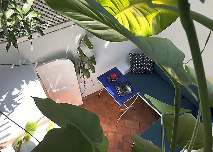 Lez Lezards Bed & Breakfast Cartagena