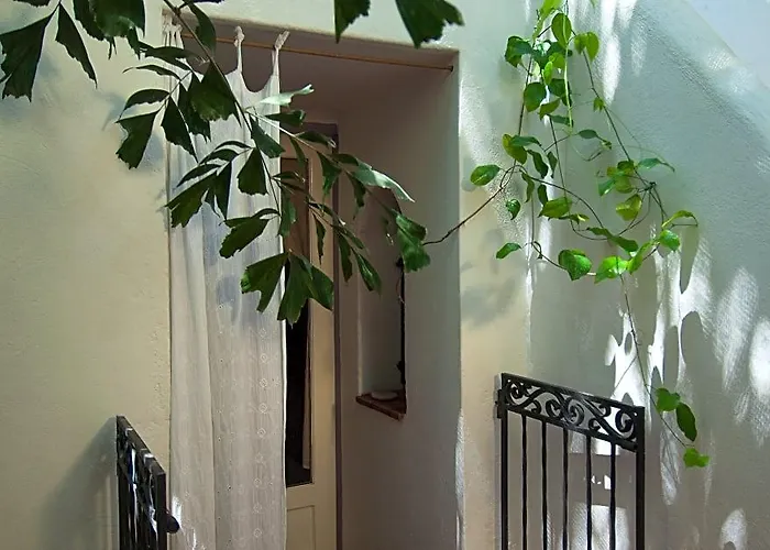 Lez Lezards Bed & Breakfast Cartagena